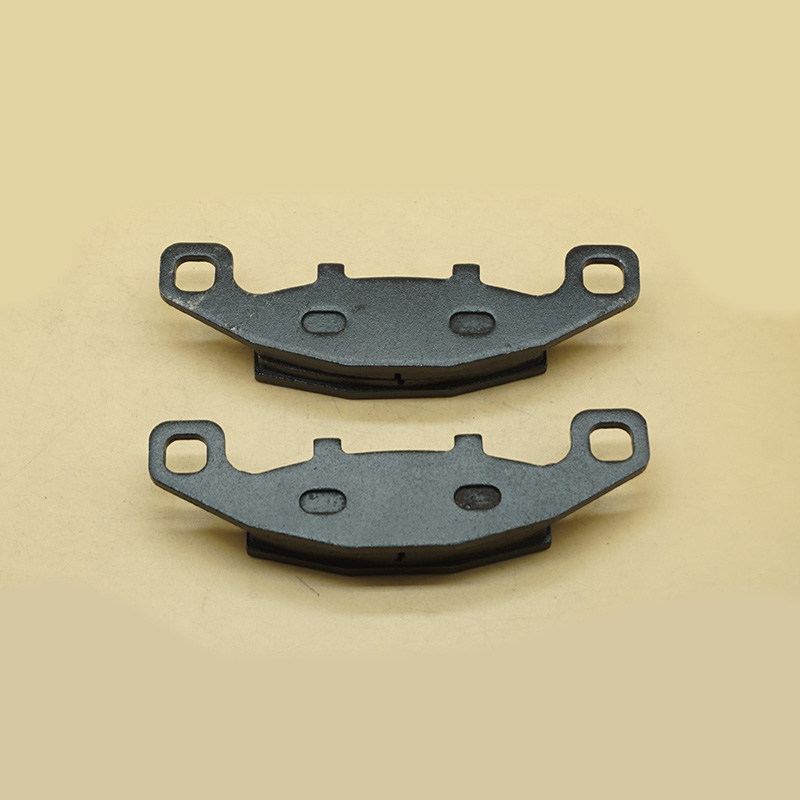 Für Kawasaki ZR550 Zephyr 550  – Brake Pad Set Bewertung und Preis